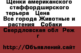 Щенки американского стаффордширского терьера › Цена ­ 20 000 - Все города Животные и растения » Собаки   . Свердловская обл.,Реж г.